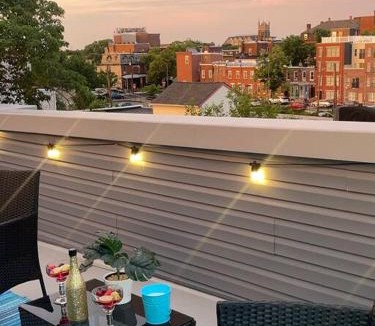 West Philadelphia Apartment | THE ROOFTOP OASIS