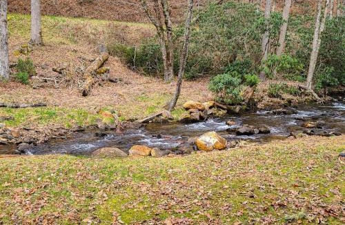 Kyle House | The Rushing Creek Cabin
