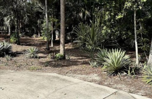 Naples Apartment | The Secret Garden