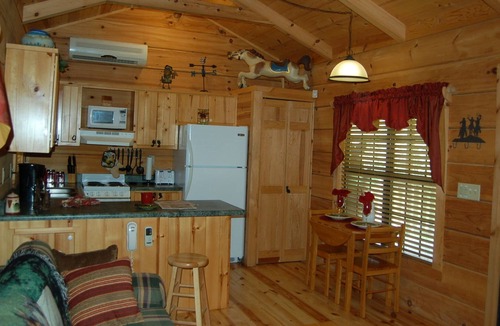 Coalmont Cabin | The Seedling - Log Cabin in the Woods