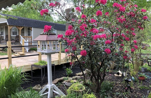 Jacksboro Villa | The Upper East Side Shed - Norris Lake & Mountain Rental
