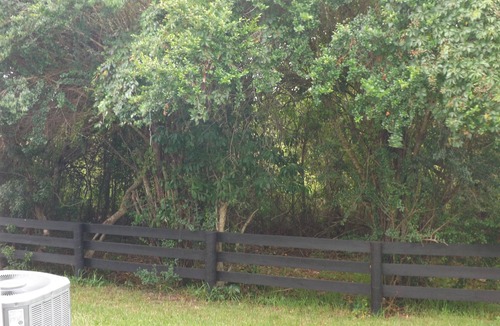 Lady Lake House | The Villages, Fl-The World's Friendliest Home Town for Retirees-55+