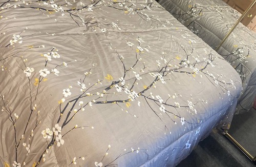 Bithlo House | The Zen Den near UCF & MCO1