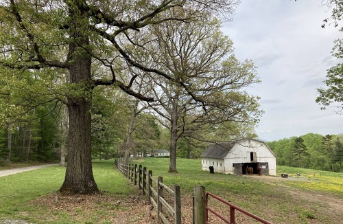 Mills River Cottage | Tilt'n B Farm, Bunkhouse, on 75 acres! Views, Horses, Tennis, Trails, & Fire Pit