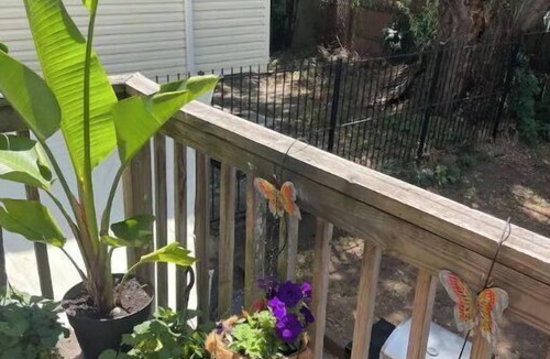 Elizabeth House | TOWNHOUSE🏠5BR/2BATH/2 FLOORS/FREE PARKING/BBQ 🤩