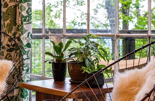 Chattanooga House | Treetop Hideaways - The Wood Lily Treehouse
