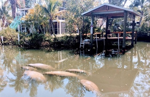 Saint James City House | Tropical Island Oasis Full Home