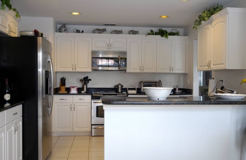 Crown Pointe House | Tropical Paradise on The Lake with Pool 10 minutes from the Beach