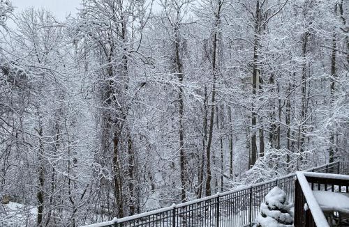 Chalet Village Apartment | Two bedroom mountain condo, 2 minutes from ski resort, pool and clubhouse onsite !
