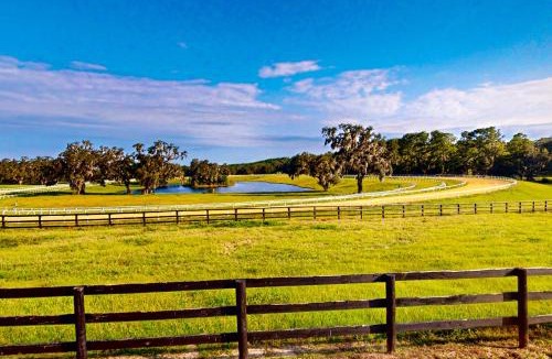 Micanopy House | Two Springs Farm Guesthouse - A &B