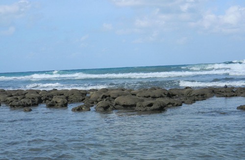 Stuart Condo | Vacation in Paradise – 1BR/1.5BA Condo on Hutchinson Island, Stuart, FL