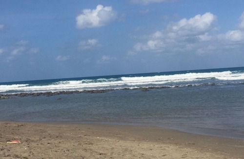 Stuart Condo | Vacation in Paradise – 1BR/1.5BA Condo on Hutchinson Island, Stuart, FL