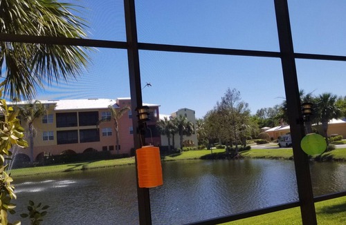 Bonita Springs Villa | Villa 3 bedroom 3 bath with private pool near Coconut Mall Estero FL.