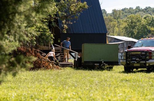 Newport Other | Walnut A Frame TreeHouse with Hammock on Farm and Large Community Barn