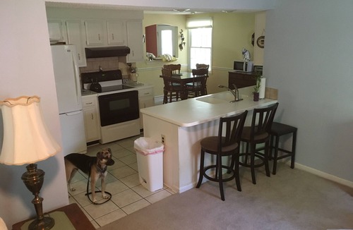 Charlotte House | Warm 3 BR Cozy Ranch in Friendly South Charlotte