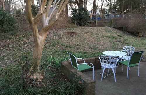 Charlotte House | Warm 3 BR Cozy Ranch in Friendly South Charlotte