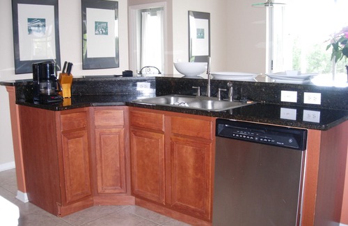 FishHawk Ranch House | Water View Home, Family Friendly Community, HOA requires a 7-month lease