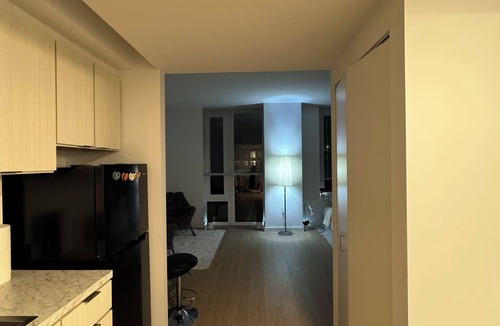 Hunters Point Condo | Waterfront condo in brilliant in NYC Manhattan, BK, Greenpoint