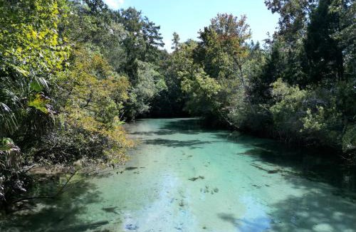 Weeki Wachee Gardens House | Weeki Palace
