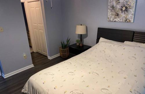 Midtown Apartment | Welcome International Guests-Medical Residents-free shuttle downtown-full kitchen- free parking