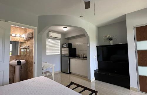 South Palm Park Neighborhood Association Hotel | White Horse Motel
