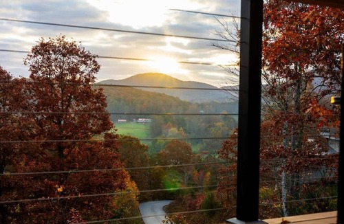 Young Harris Cabin | Wildcat Modern 2BR - Fireplace/Firepit/Dogs/Views