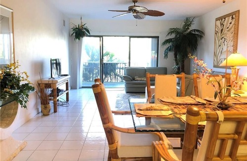 Isles of Capri Condo | Winter Island Get Away Visit the Dolphin and Manatee