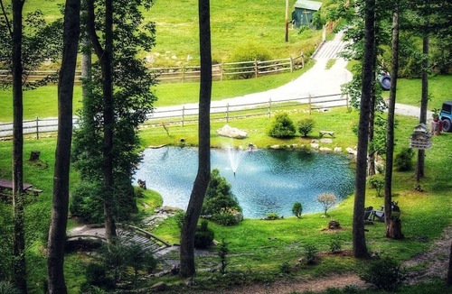 Sugar Grove Cabin | Wonderful Barn with Hot-tub and Petting Zoo in Sugar Grove, North Carolina