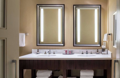 Lenox Hotel | Wyndham Atlanta Buckhead Hotel & Conference Center | King | Pet Friendly