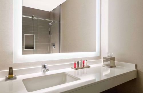 Lenox Hotel | Wyndham Atlanta Buckhead Hotel & Conference Center | King | Pet Friendly