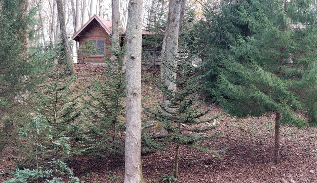 1/2 mile to Blue Ridge Parkway, Tall Woods Cabin, number 3