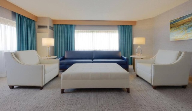 1-Bedroom Suite at a Hotel