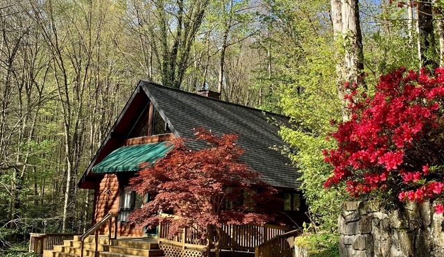 2 Bd 2 Ba Cabin Secluded with Wood Fireplace Rushing Creek Hot Tub Fire Pit
