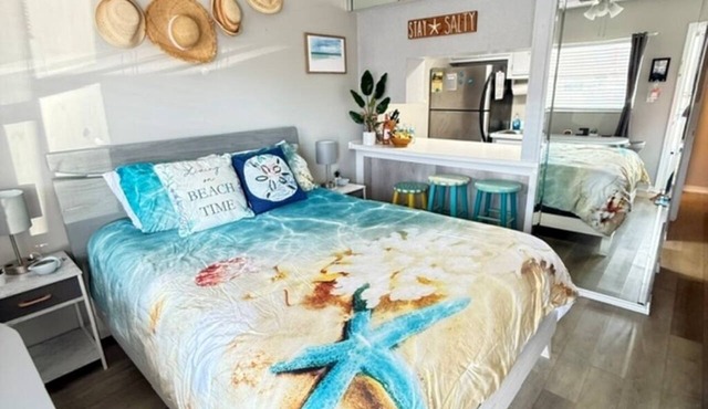 Adorable studio condo on Treasure Island FL
