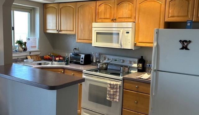 Atlanta Sky View's Stylish Downtown Condo.