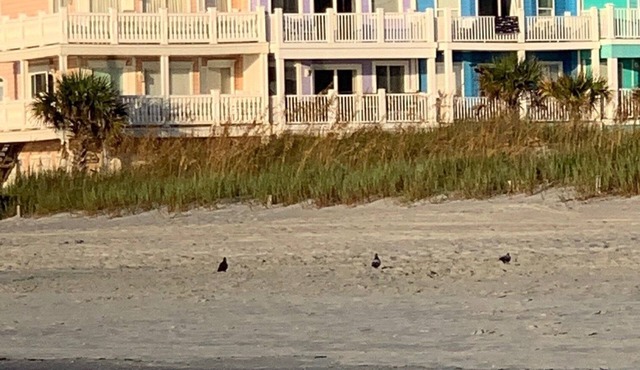 Beach Property - Private Townhome w/Balconies, 3 Bedrm 2 1/2 Bath, 2 Car Garage