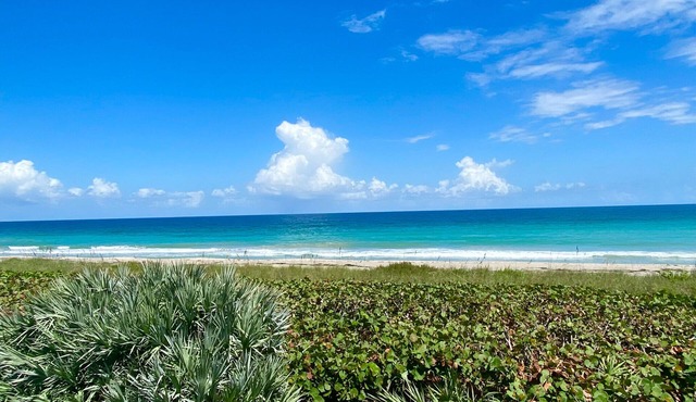 Beachfront on the ocean, gated beach entry, walk to restaurants, boutique decor