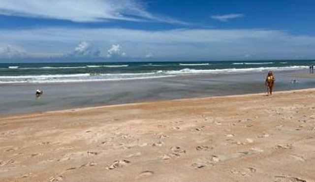 Beachside Townhouse Flagler Beach. 1 block to beach walkover.