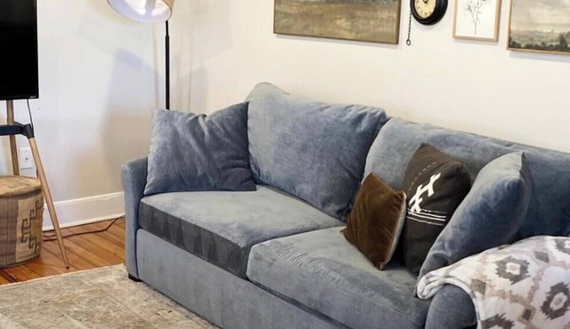 Beautiful 1900s Built 2BR Downtown Loft - 9 Min Walk To Carroll Creek - Pets OK