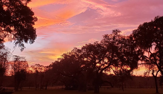Beautiful studio cabin in historic Floral City with fabulous view of acreage.