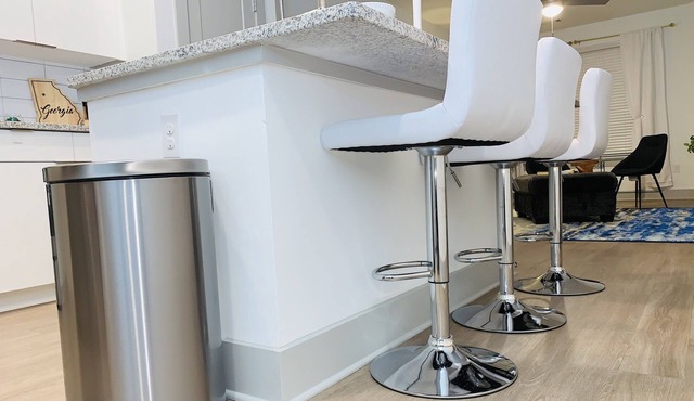 Beltline Beauty luxe Apartment