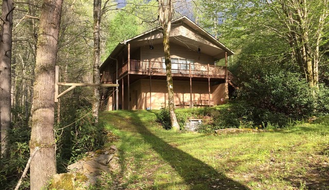 Black Bear cabin by the creek