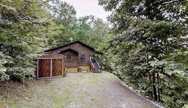 Black Bear Den