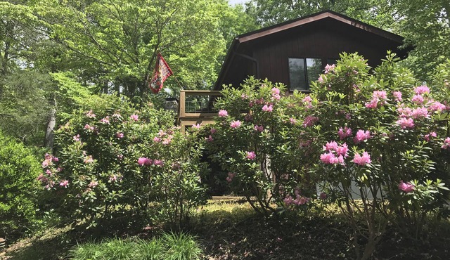 Blue Ridge Cabin at 3400' high near Asheville and Hiking