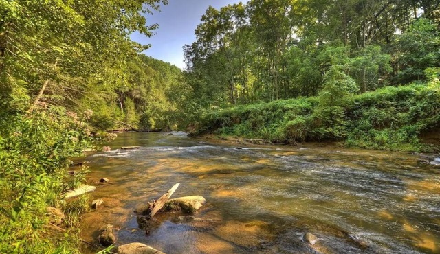 Blue Ridge Creekfront Hot Tub Fishing and Tubing
