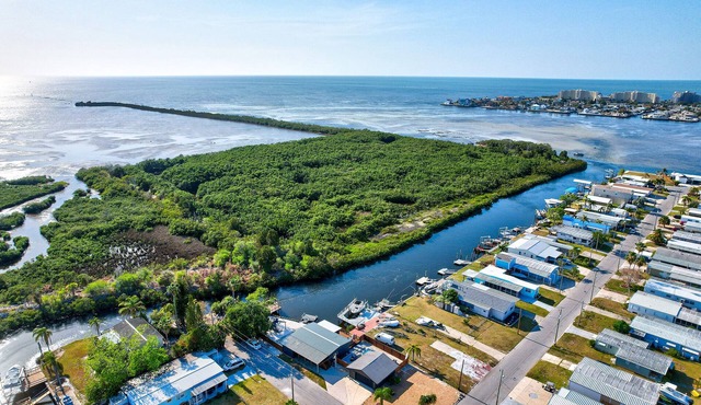 BOOK NOW FOR PASCO CO SCALLOP SEASON July 10 to Aug 18