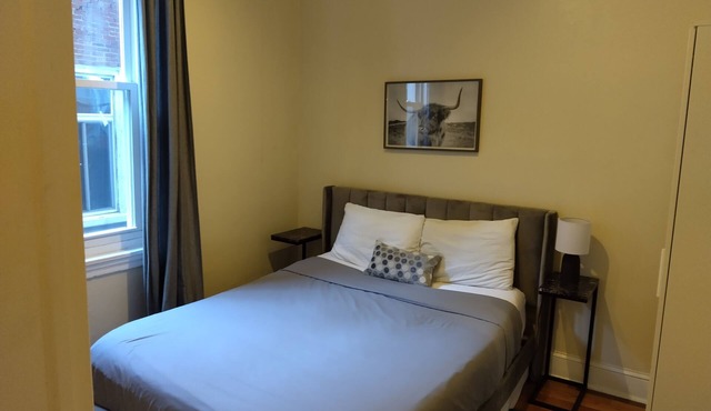 boutique 1bed queen center city