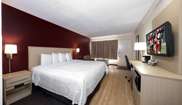 Bright Pet-Friendly Room Near Downtown Naples – Relaxed and Welcoming
