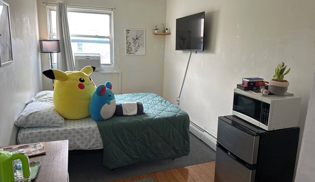 Bustling bedroom in apartment with WiFi, AC in Bushwick Brooklyn