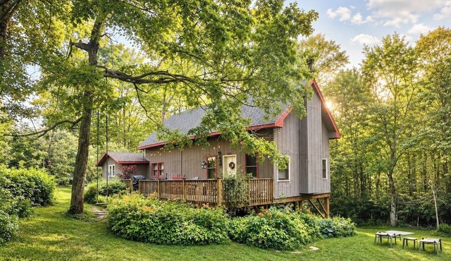 Cabin with yard, fireplace, pet friendly, near Boone, New River